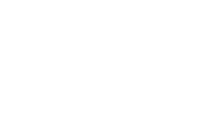 Data Legal Drive Logo