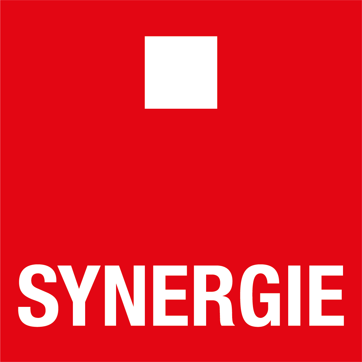Synergie Logo DSGVO